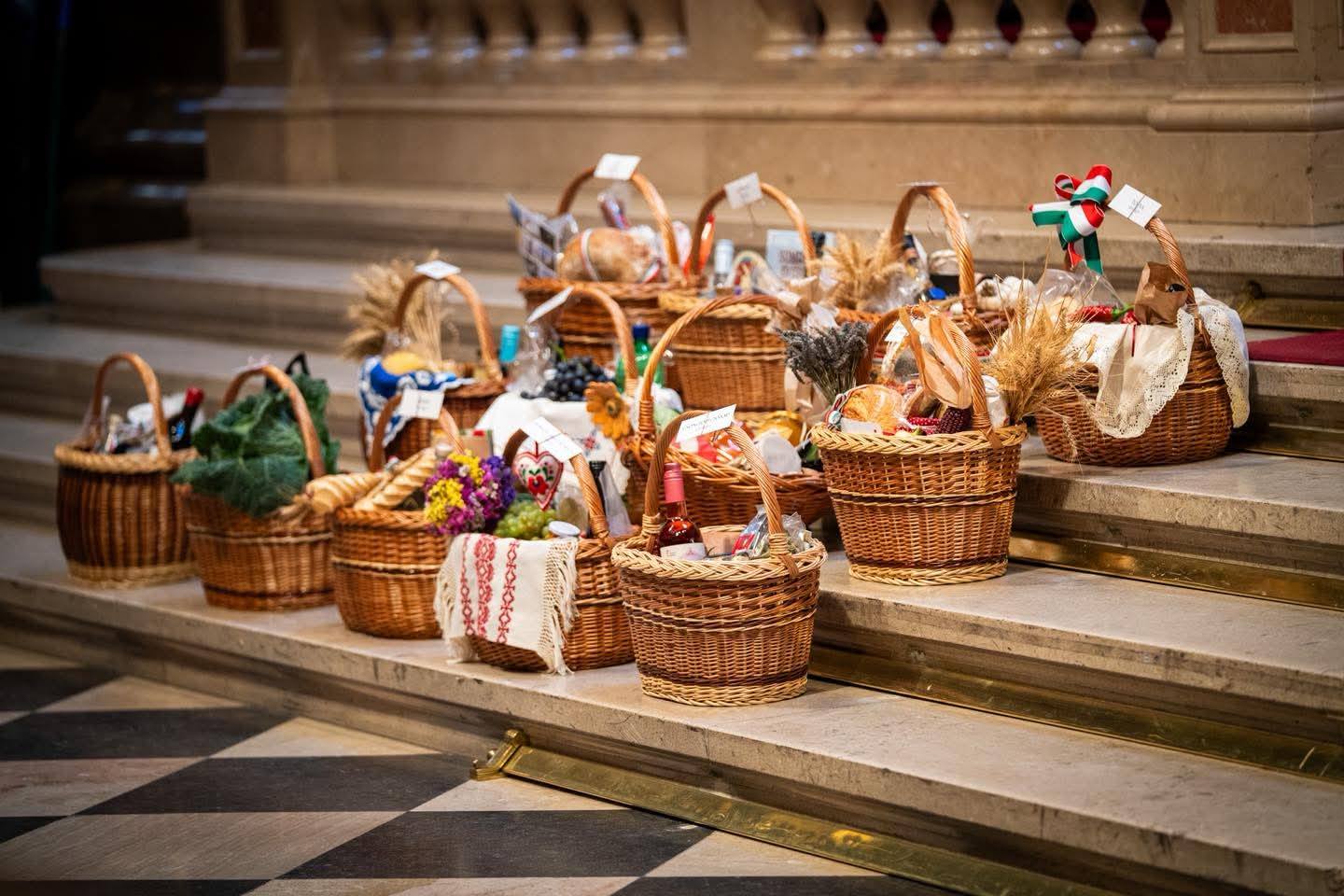 546311660_3343410262463876_96192710184445726_n